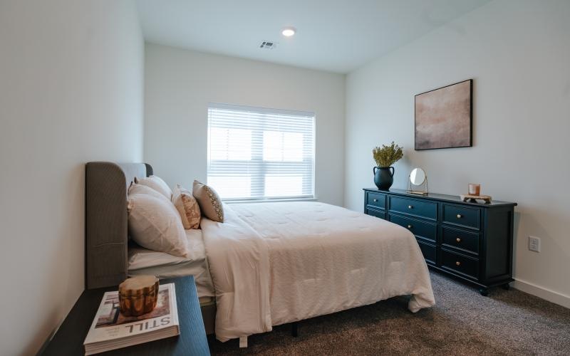 a bedroom with a bed and dresser