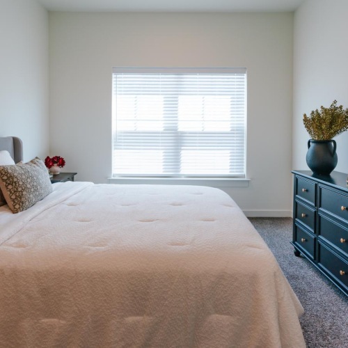 a bedroom with a bed and dresser
